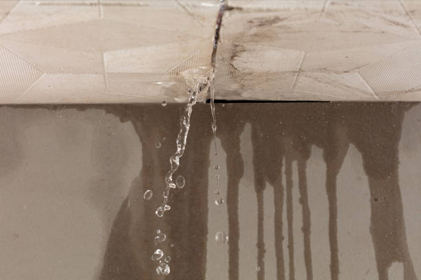 Professional Flood Damage Cleanup technician working in Lawrenceville, IL
